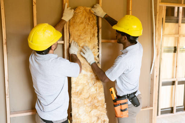 Reliable Hampton, MD Insulation Installation & Removal Solutions