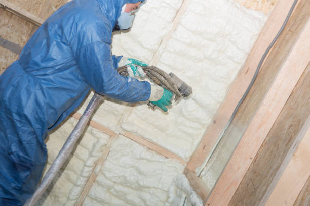 Best Soundproof Insulation  in Hampton, MD